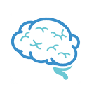 Central nervous system